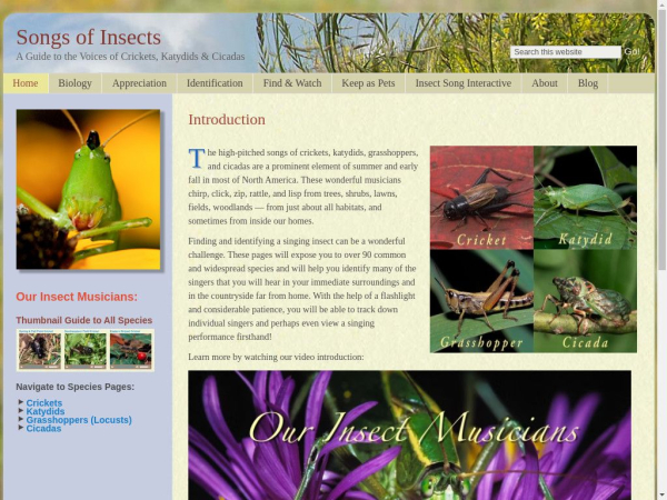 songsofinsects.com